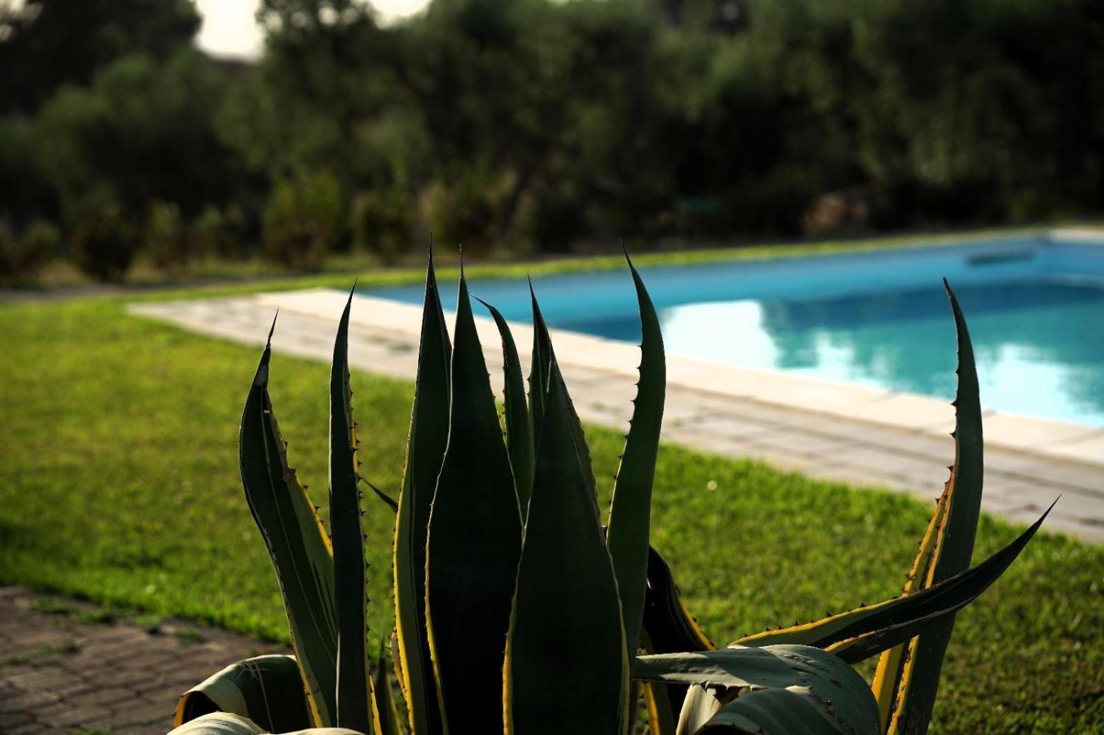 Accogliente Villa Con Piscina Caltagirone Exterior foto